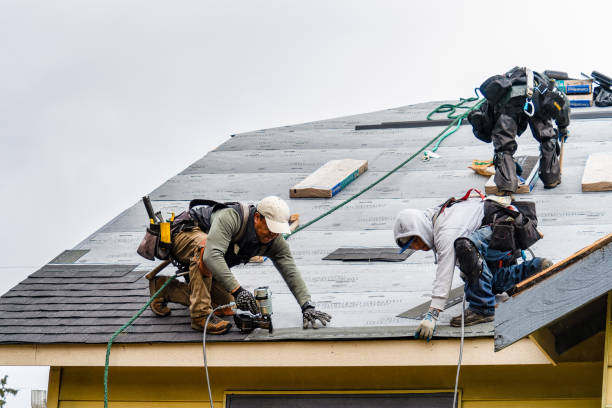 Professional Roofing technician working in Alfred, ME